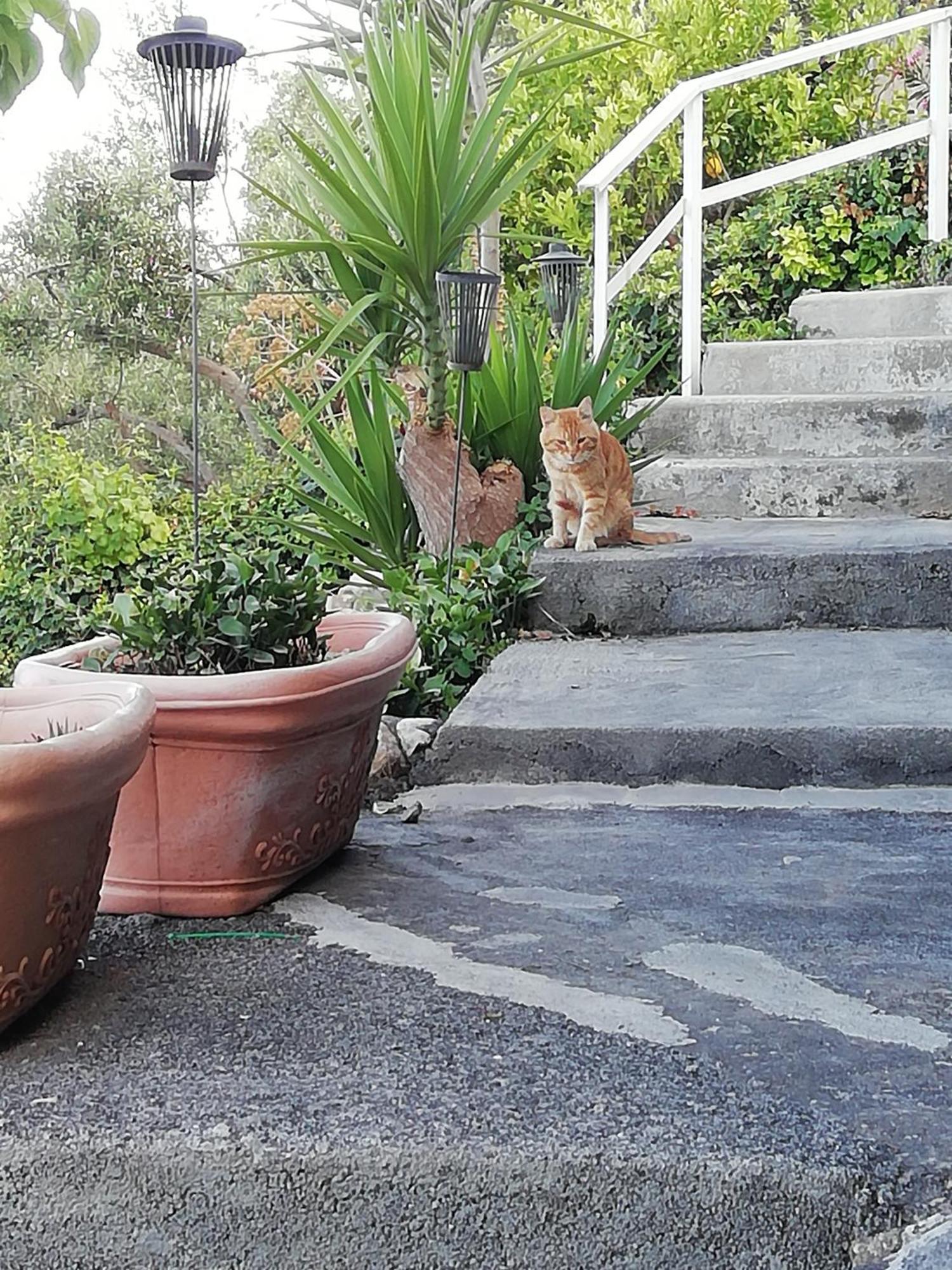 Villa Johnny And Mary'S House Breathtaking View Taormina Phòng bức ảnh